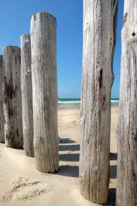 Wooden posts in Holland overlooking the sea Wooden posts in Holland overlooking the sea